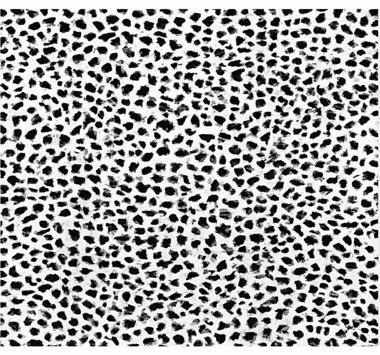Estore de rolo preto estampa de leopardo monocromática - TenStickers