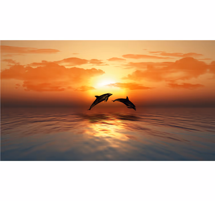 Estore de rolo casa de banho 3d golfinhos nadando - TenStickers