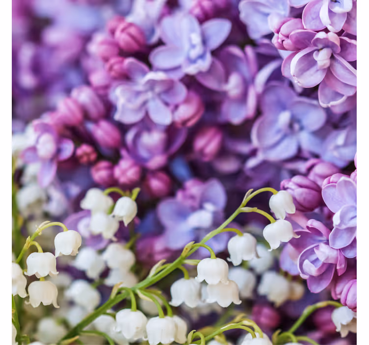 Estore de rolo empresa flores margaridas quatro estações - TenStickers