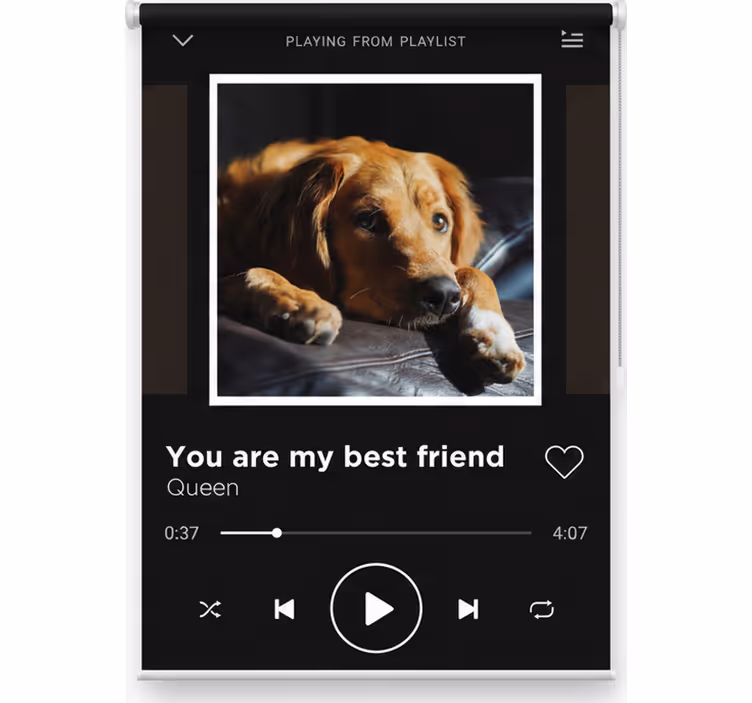 Estore de rolo juvenil reprodutor de música personalizável - TenStickers