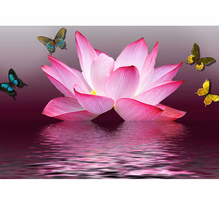 Estore de rolo zen flor de lótus rosa com borboletas - TenStickers