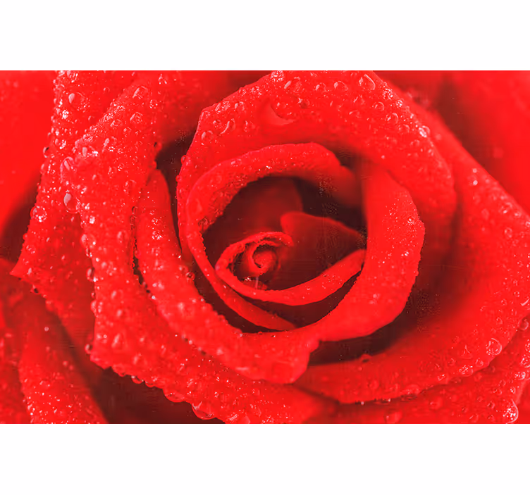 Estore de rolo vermelho flor de rosa - TenStickers