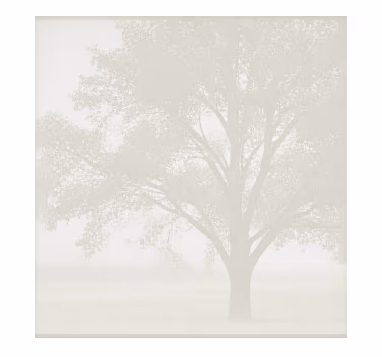Estore de rolo branco para tela - TenStickers