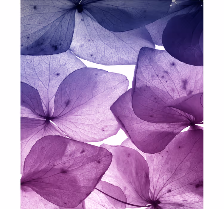 Estore de rolo roxo floral feliz e tranquilo - TenStickers