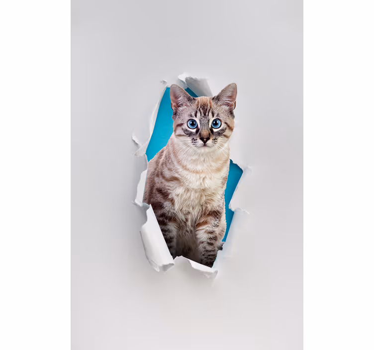 Gato vários animais cortinas de rolo - TenStickers