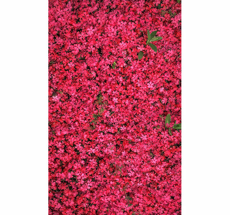 Estore de rolo flores e plantas abundância vibrante - TenStickers