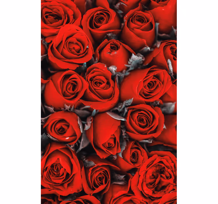 Rosas vermelhas flor cega romântica - TenStickers
