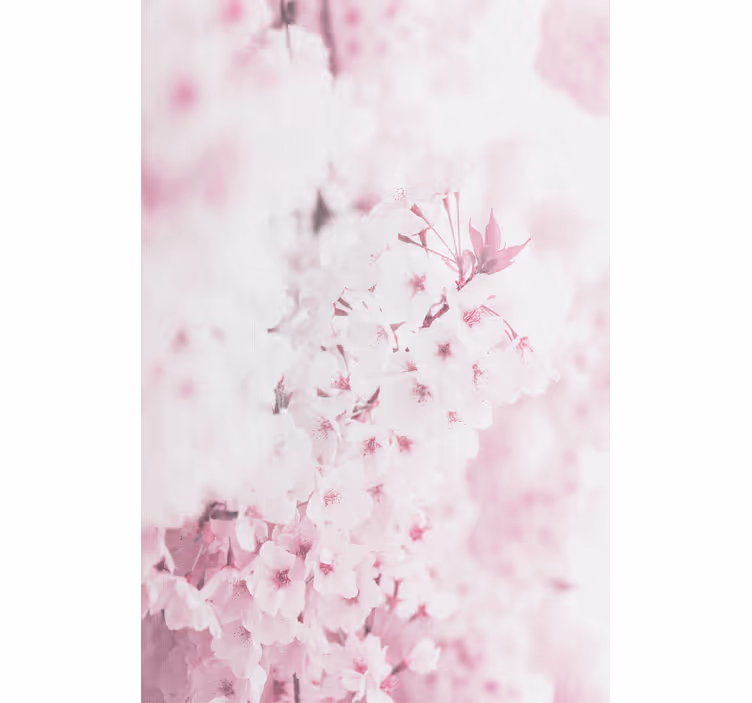 Flor rosa claro flor cortina - TenStickers
