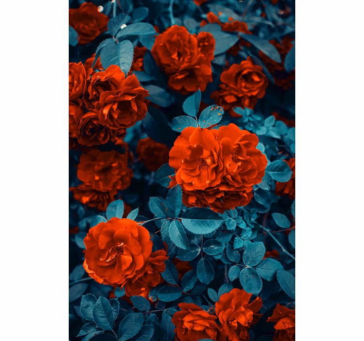 Estore de rolo flores e plantas rosas vibrantes florescendo - TenStickers