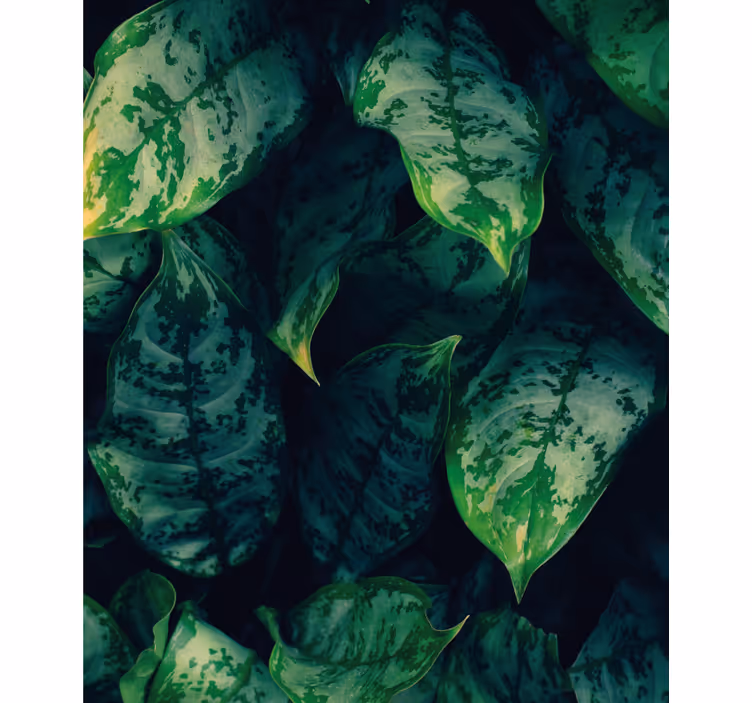 Estore de rolo flores e plantas folhas verdes vibrantes - TenStickers