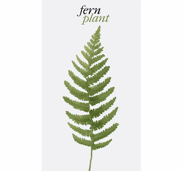 Estore de rolo flores e plantas planta verde samambaia - TenStickers