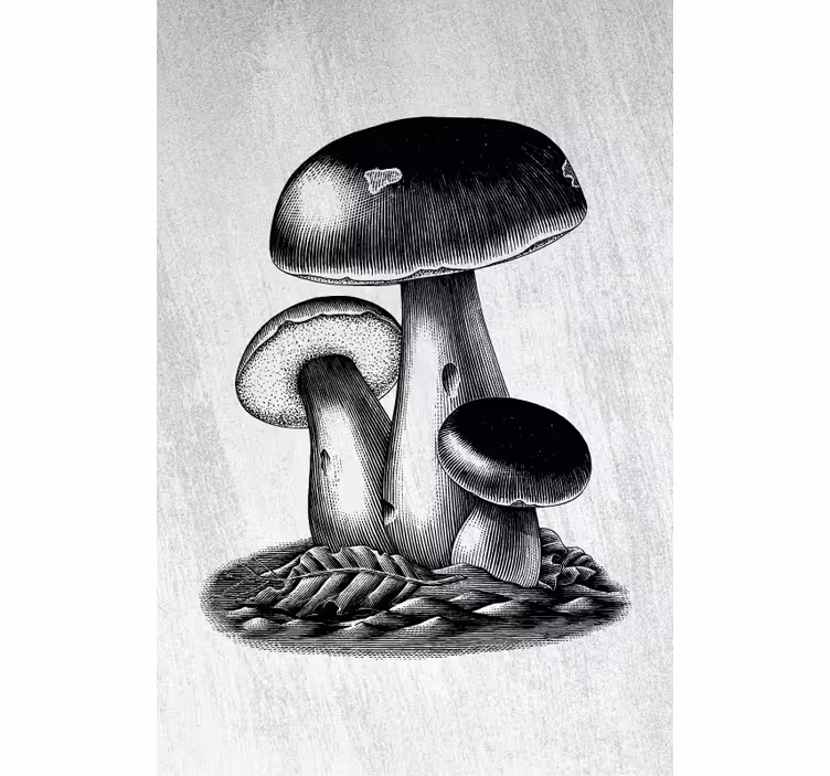 Estore de rolo flores e plantas elegância de cogumelo - TenStickers