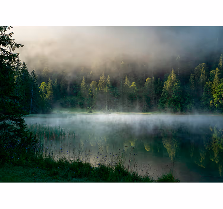 Estores de rolo de árvores reflexo da floresta enevoada - TenStickers