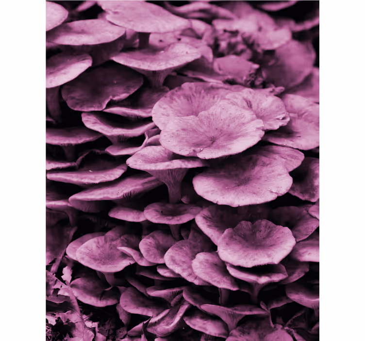 Estore de rolo flores e plantas camadas florais vibrantes - TenStickers