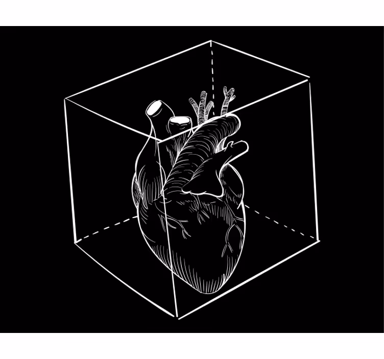 Estore de rolo divertidos ilustração de anatomia do coração - TenStickers