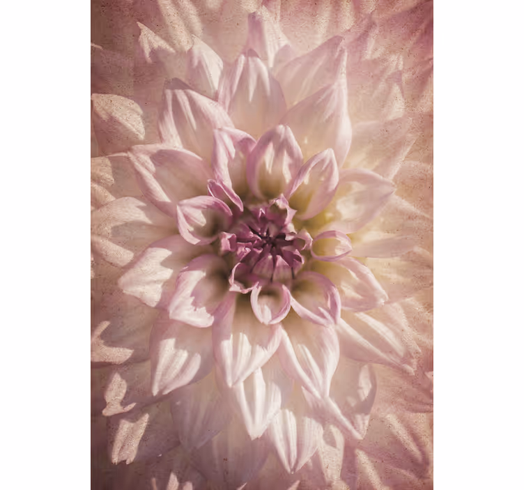 Estore de rolo flores e plantas flor delicada - TenStickers