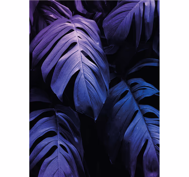Estore de rolo flores e plantas folhagem monstera deliciosa - TenStickers