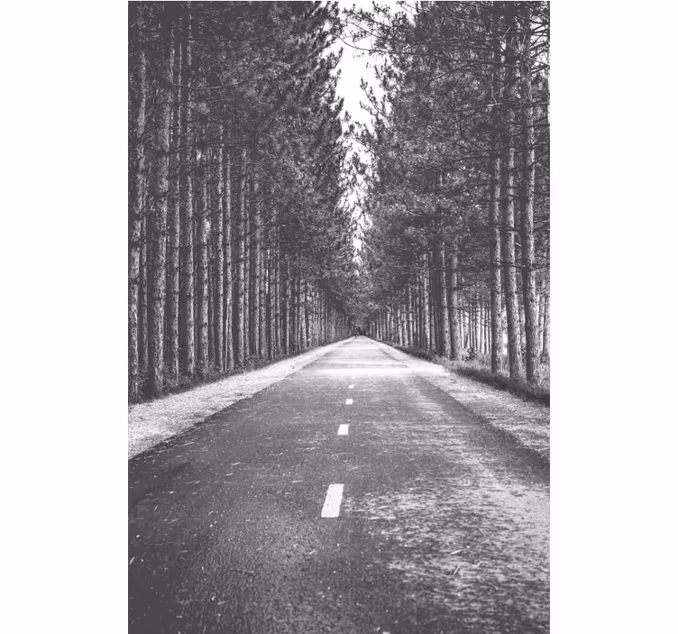 Estor caminho sereno na floresta - TenStickers