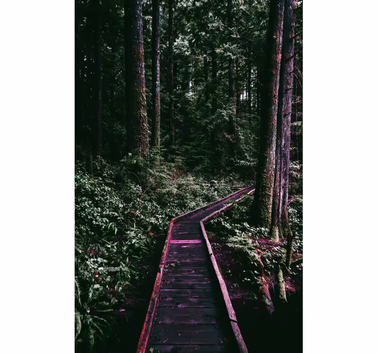 Estores de rolo de árvores caminho da floresta - TenStickers