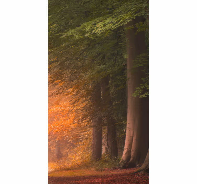 Estore de rolo original floresta fantástica - TenStickers