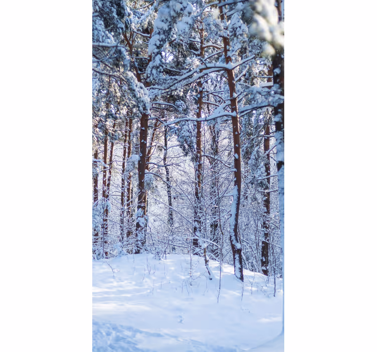 Estores de rolo de árvores floresta de pinheiros nevados - TenStickers