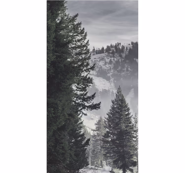 Estores de rolo de árvores pinheiros majestosos da montanha - TenStickers
