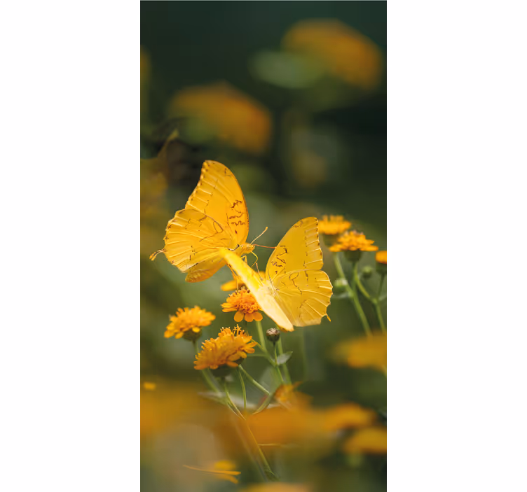 Estore de rolo borboleta asas amarelas realistas - TenStickers
