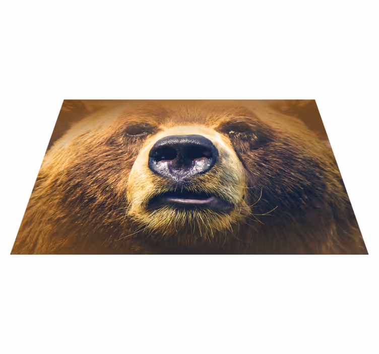 Individuais de mesa originais rosto de urso em close-up - TenStickers