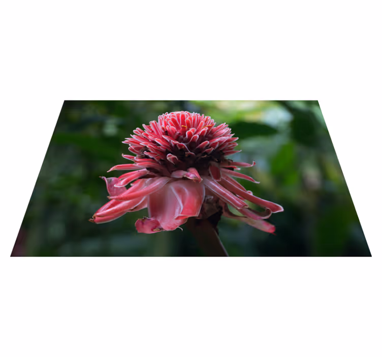 Individuais de mesa originais arranjo floral tropical - TenStickers