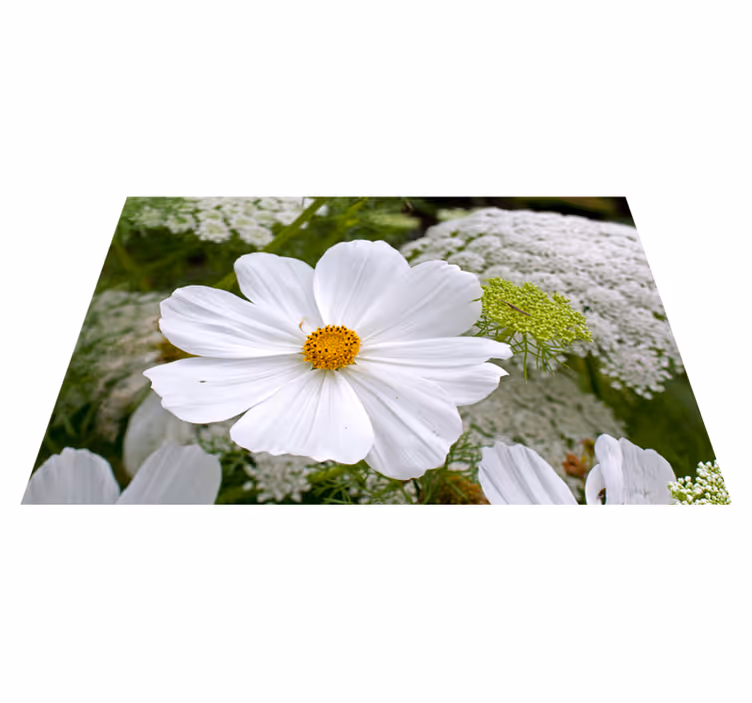 Individuais de mesa originais flor branca elegante - TenStickers