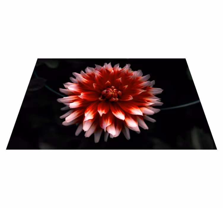 Individuais de mesa originais prato de alga crocante - TenStickers