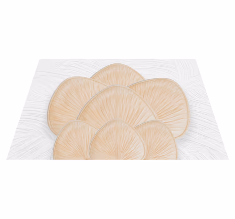 Individuais de mesa de texturas Flor natural "boho" - TenStickers