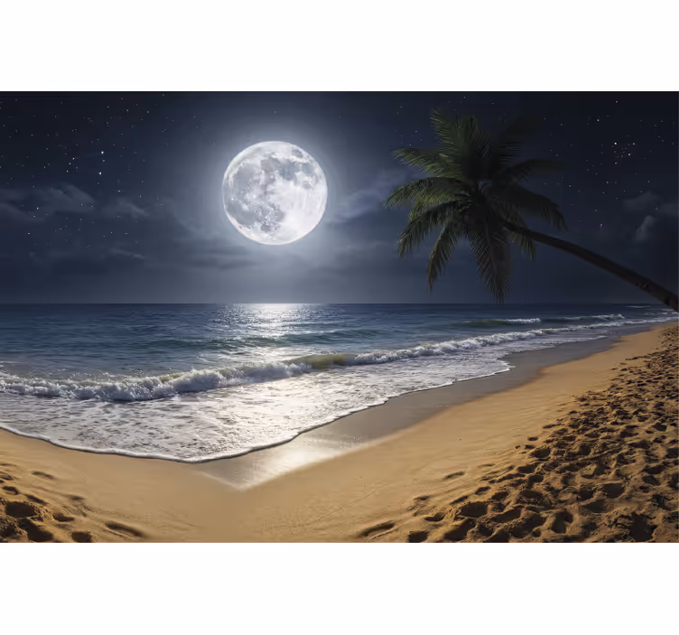 Mural de parede mar lua cheia no oceano - TenStickers