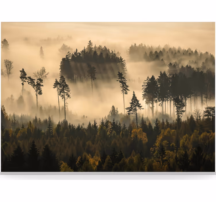 Mural de parede bosques névoa matinal etérea - TenStickers