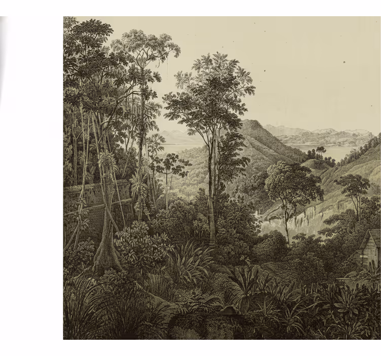 Mural de parede bosques impressão de floresta montanhosa - TenStickers