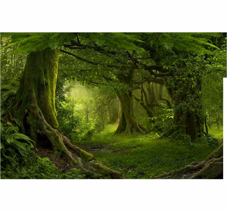 Mural de parede bosques refúgio verdejante - TenStickers