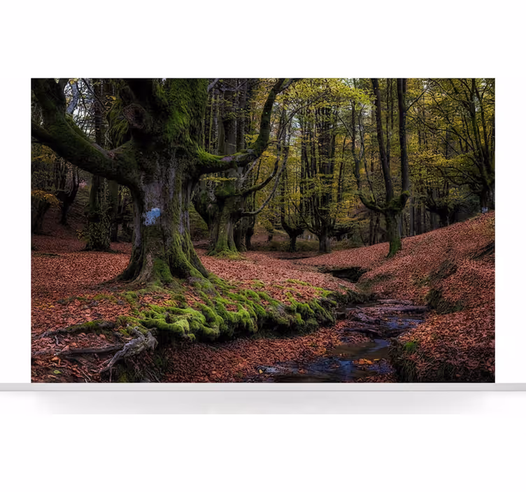 Mural de parede bosques floresta encantada de outono - TenStickers
