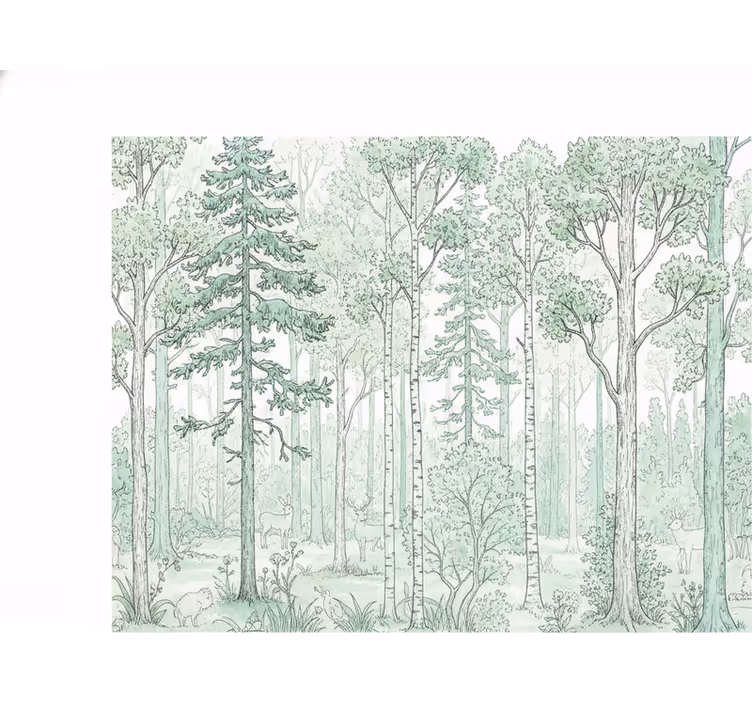 Mural de parede bosques esboço de bosque menta - TenStickers