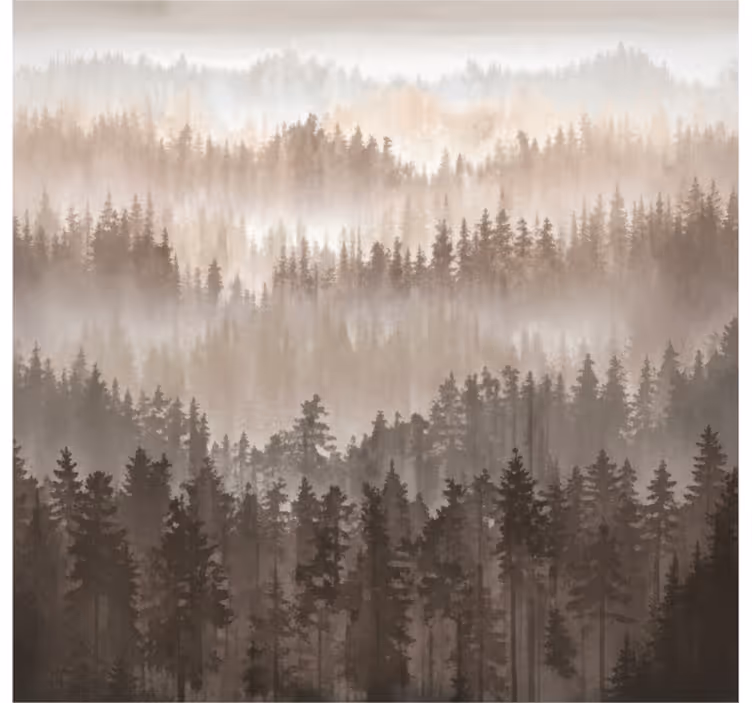 Fotomurais de paisagens camadas de floresta de madeira - TenStickers