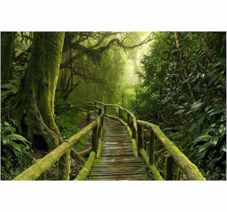 Mural de parede bosques passarela musgosa luxuriante - TenStickers