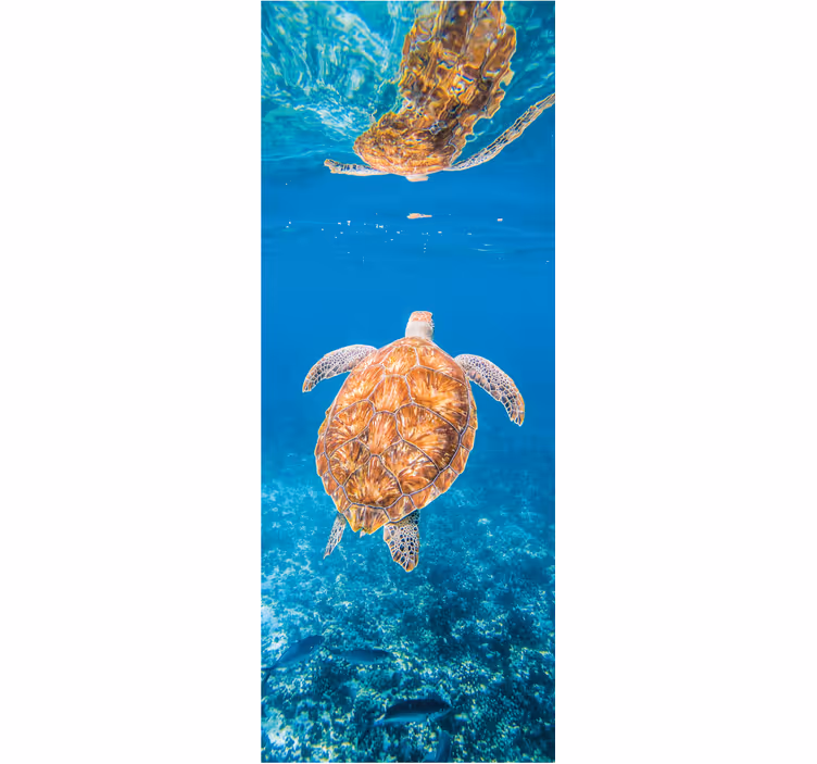 Fotomurais para casa de banho tartaruga linda subaquática - TenStickers