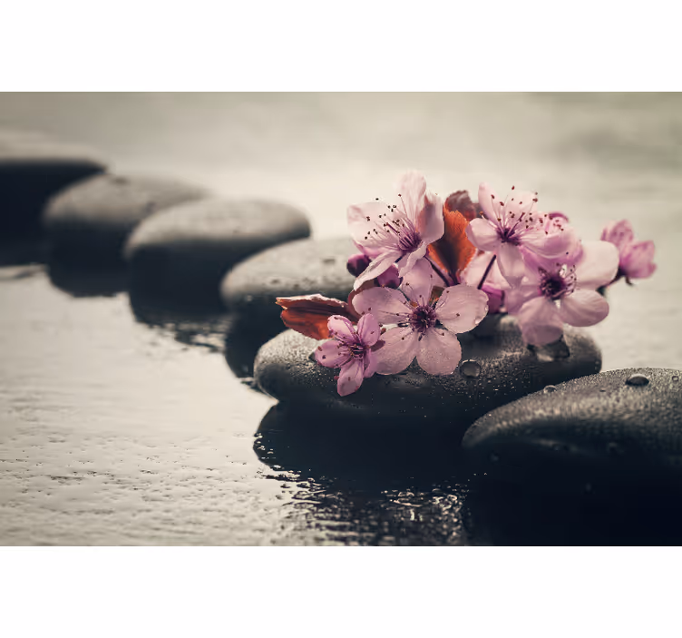 Fotomurais para casa de banho flores zen - TenStickers
