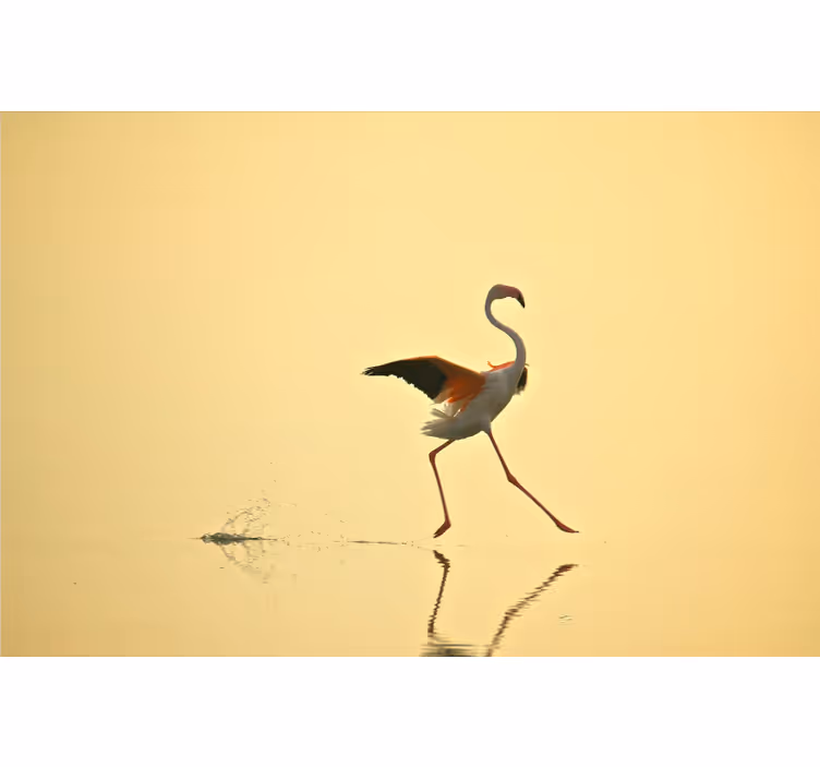 Mural de parede amarelo com flamingos engraçados - TenStickers