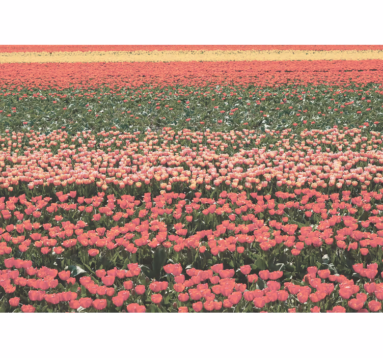 Mural de parede para corredor campo de flores variadas - TenStickers