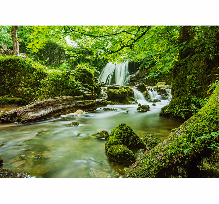 Fotomurais de paisagens Despertar da Natureza - TenStickers