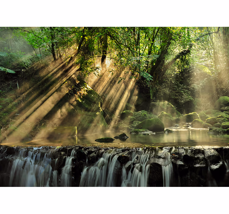 Fotomurais de paisagens Numa Floresta Secreta - TenStickers