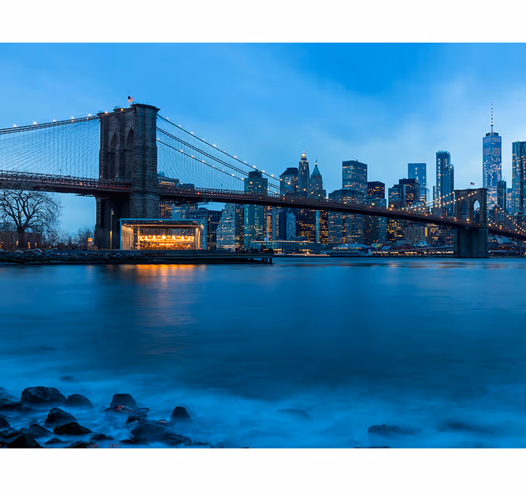 Fotomurais cidades e países Vista de manhattan - TenStickers