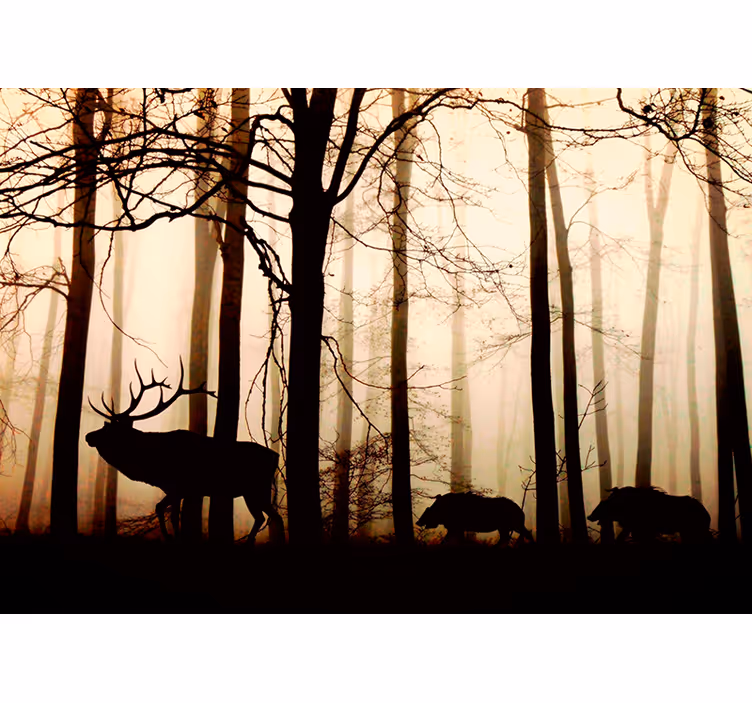Fotomural de parede da floresta e animais - TenStickers