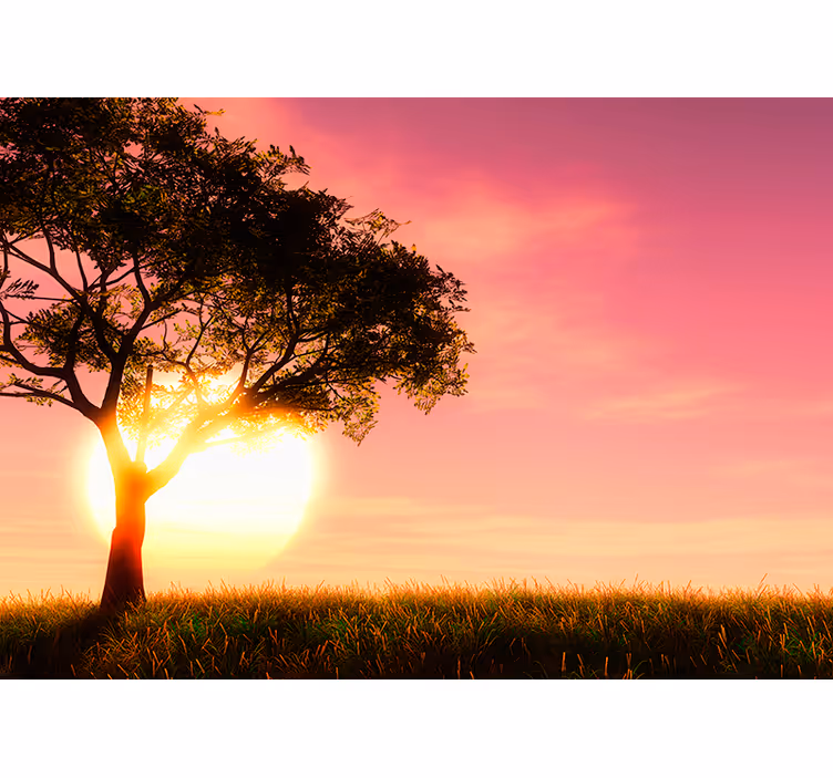 Fotomural decorativo pôr do sol no campo - TenStickers