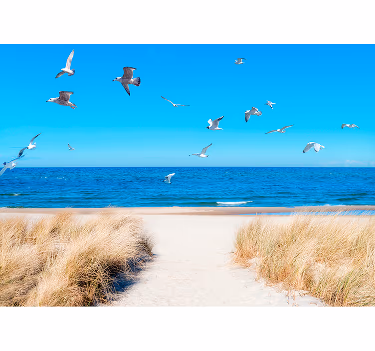 Murais de Parede Caminhada Matinal pela Praia - TenStickers